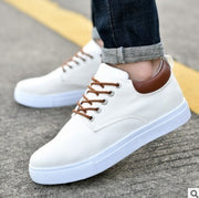 Brand Mens Casual Shoes Lightweight Male Sneakers Breathable